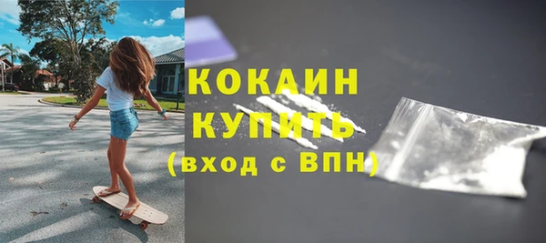 гашик Няндома