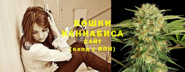 молекула духа Зеленодольск