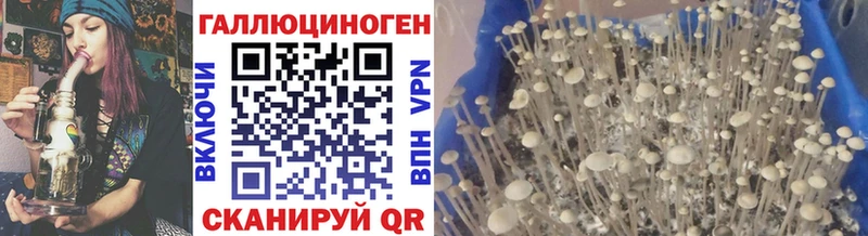 Псилоцибиновые грибы мухоморы  Кувандык 